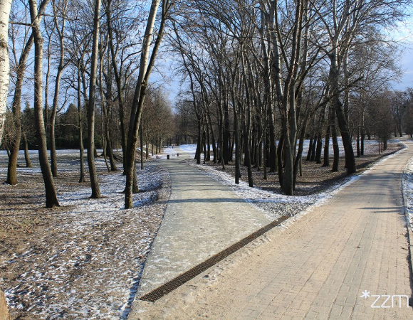 Zdjęcie przedstawia alejki spacerowe w parku wśród drzew.
