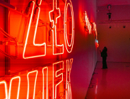 Zdjęcie przedstawia dziewczynę stojącą przy ścianie, na której umieszczonych jest kilka neonów.