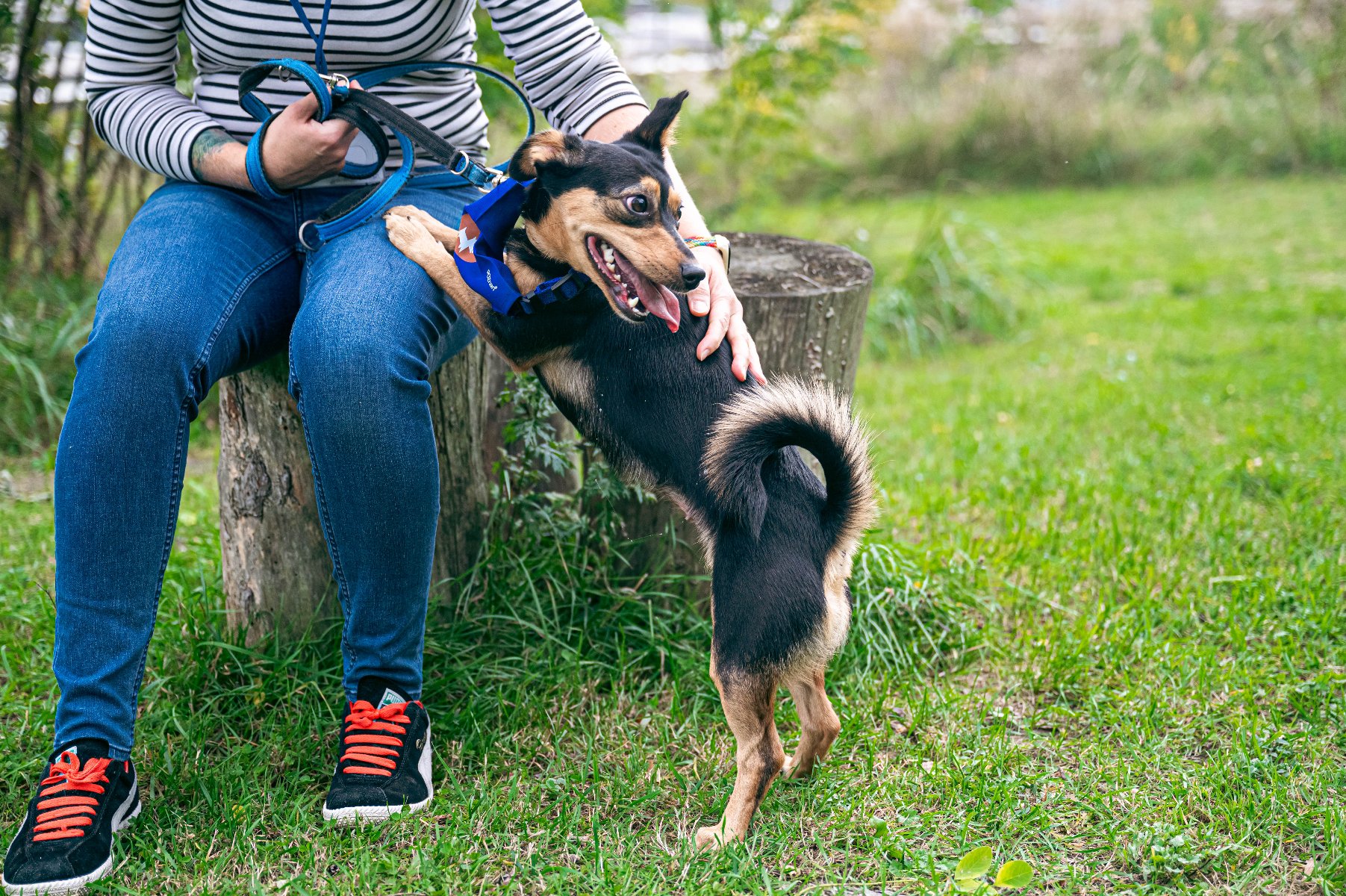 Zdjęcie przedstawia dziewczynę trzymającą na rękach psa.
