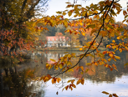 Zdjęcie przedstawia gałązkę z liśćmi, staw i budynek w oddali.