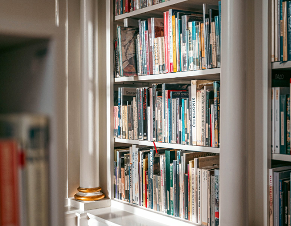 Zdjęcie przedstawia książki na półce.