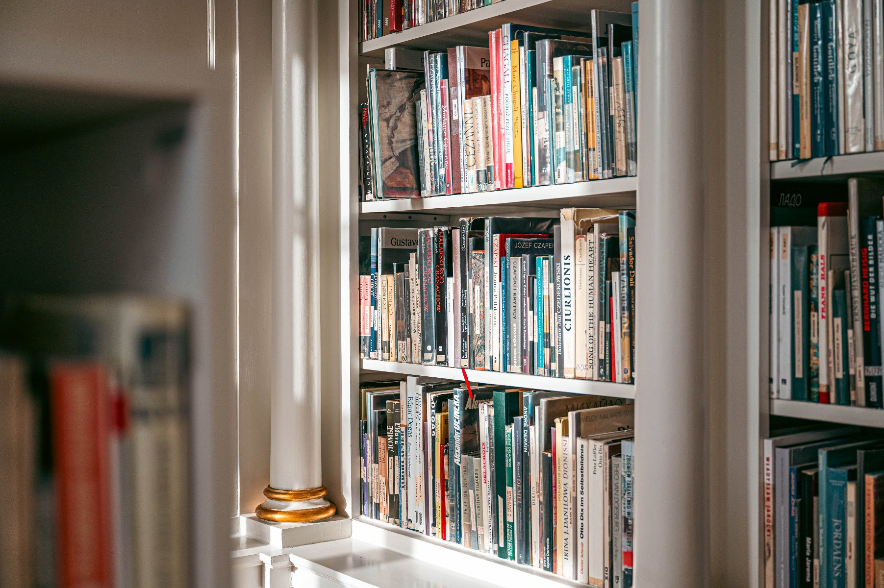 Zdjęcie przedstawia książki na półce.