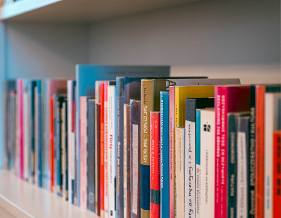 Zdjęcie przedstawia książki na półce.