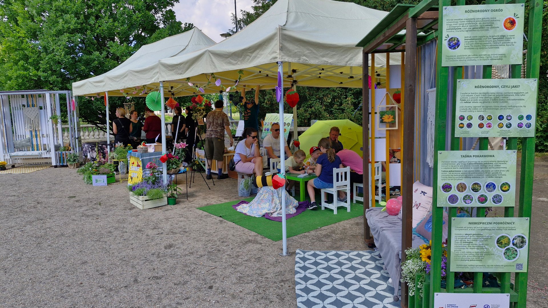 Zdjęcie przedstawia kwiat y w donicznce. W tle widać ludzi malujących obrazki przy stole.