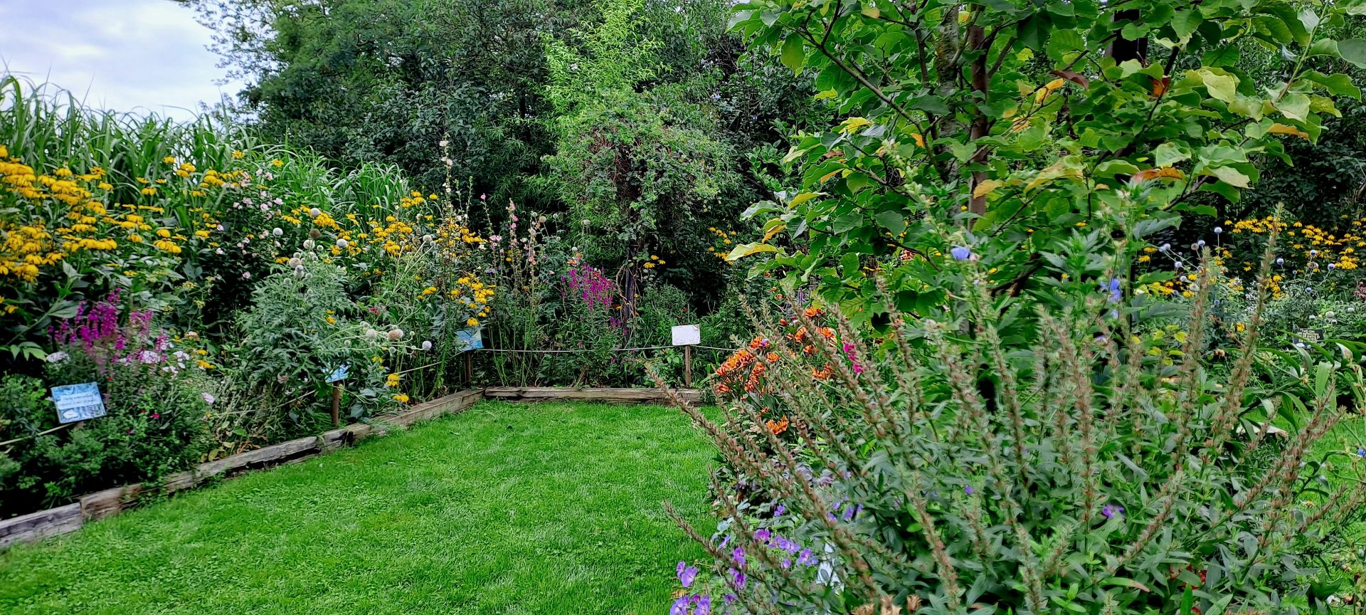 Zdjęcie przedstawia ławkę, krzesełka i stoliczek przed budynkiem, stojący wsród zieleni - kwiatów i drzewa.