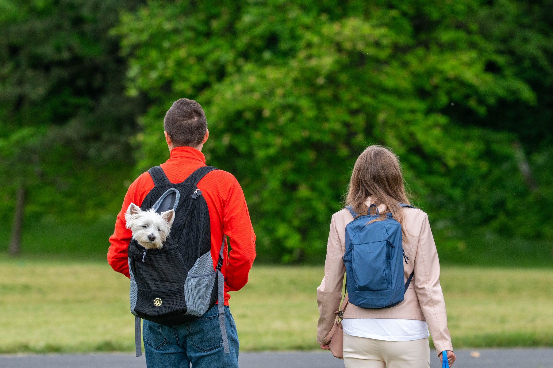 Zdjęcie przedstawia mężczyznę, kobietę i psa pozującego do wspólnego zdjęcia w ramce z kartonu.