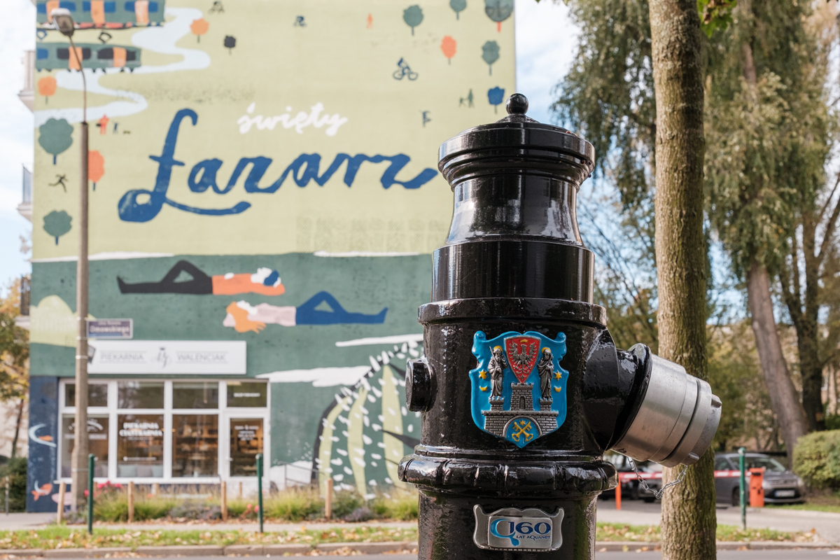 Zdjęcie przedstawia odnowiony hydrant stojący przy ulicy.