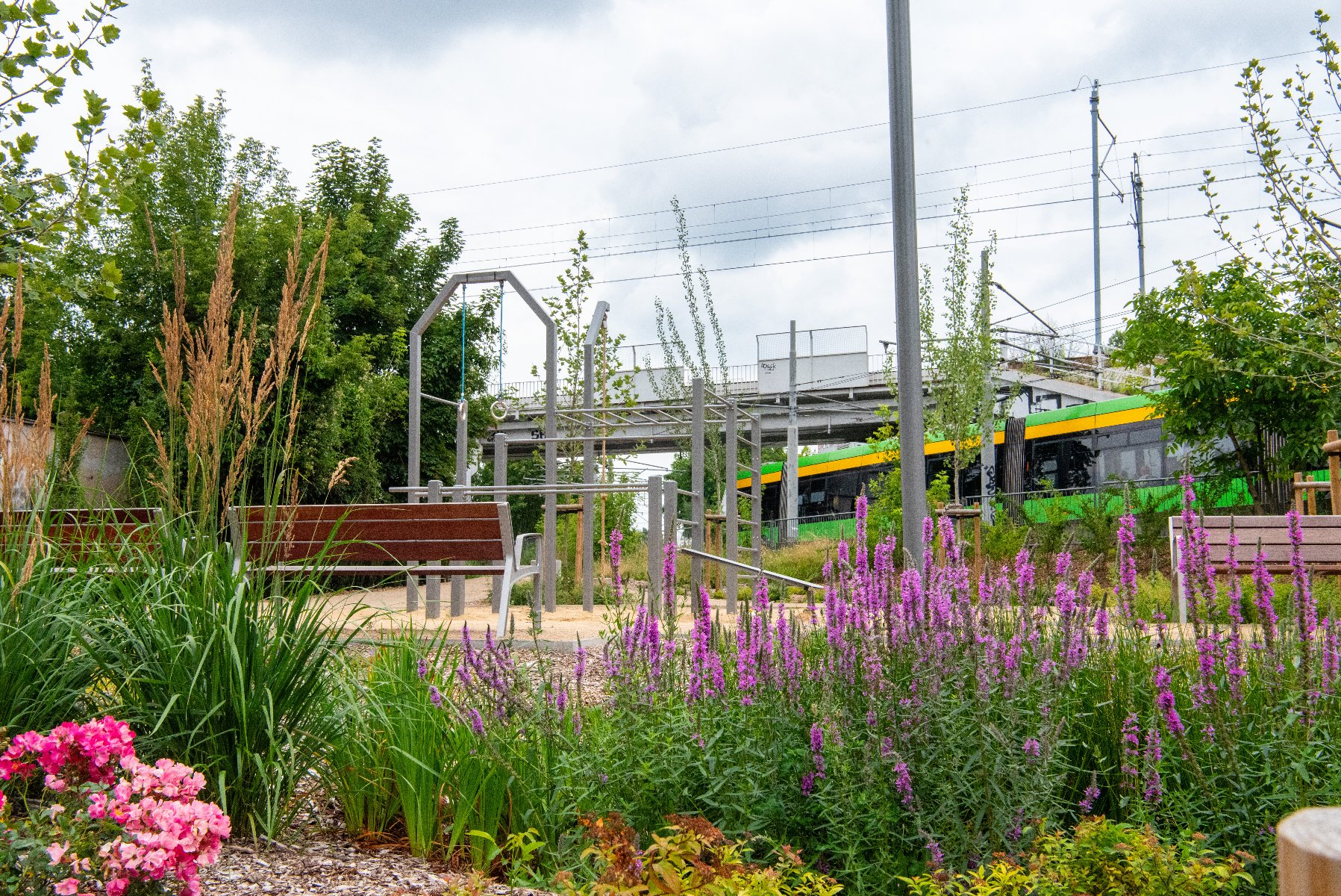 Zdjęcie przedstawia rośliny, ławki i domki dla owadów.
