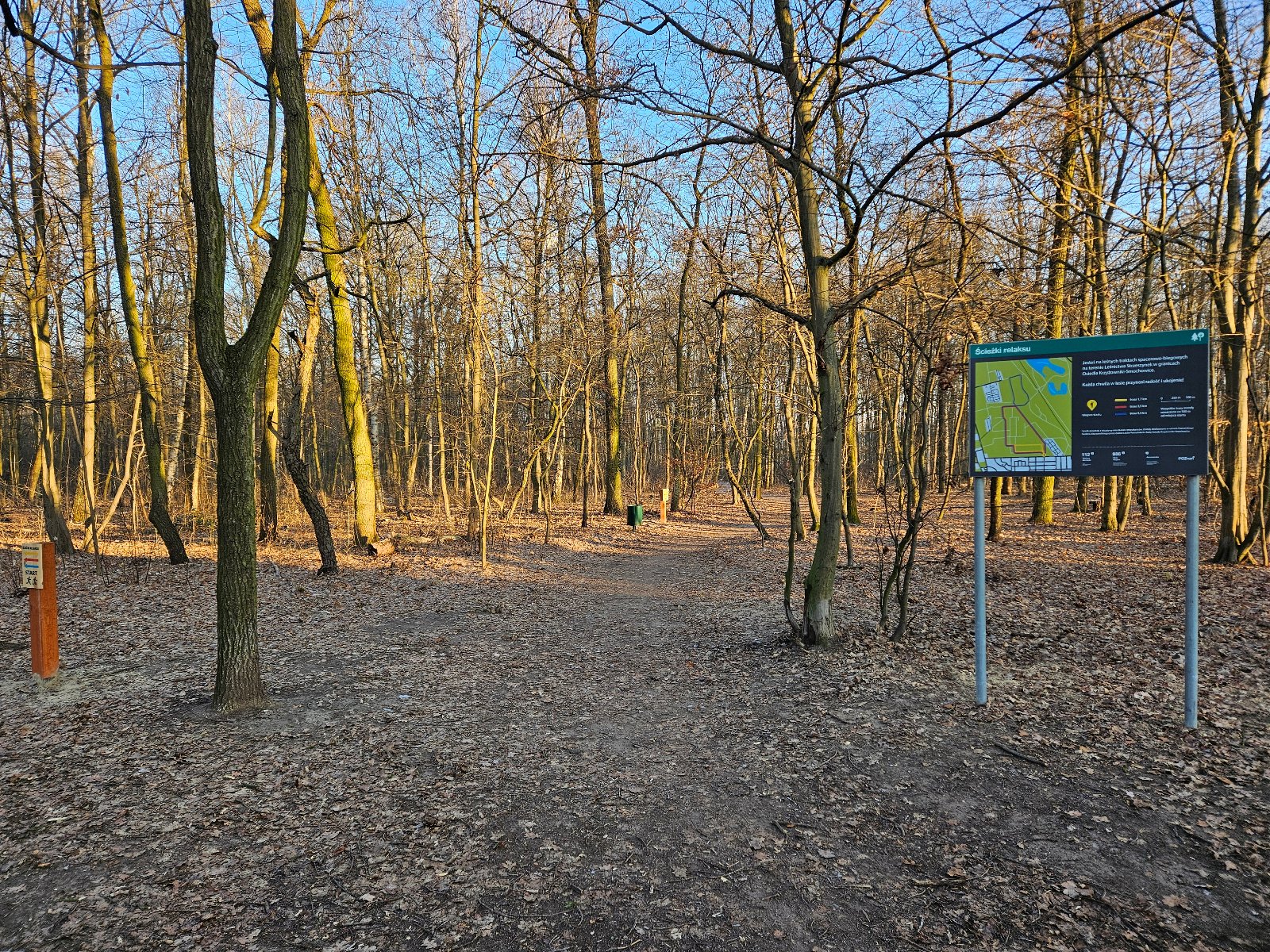 Zdjęcie przedstawia ścieżki w lesie oraz tablicę informacyjną.