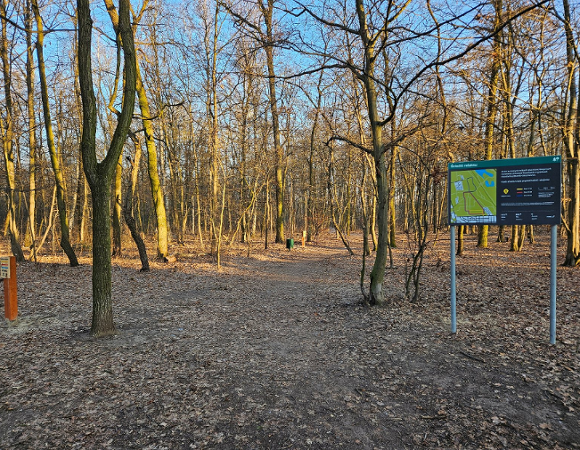 Zdjęcie przedstawia ścieżki w lesie oraz tablicę informacyjną.