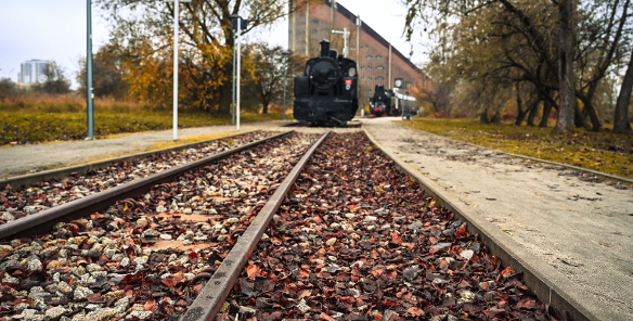 Zdjęcie przedstawia tory kolejowe i lokomotywę. Obok widać drzewa.