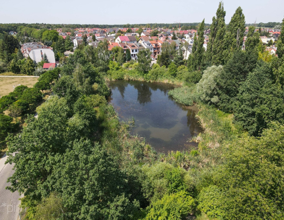 Zdjęcie ul. Krajeneckiej z domkami jednorodzinnymi. Na pierwszym planie zbiornik retencyjny, który będzie rozbudowany