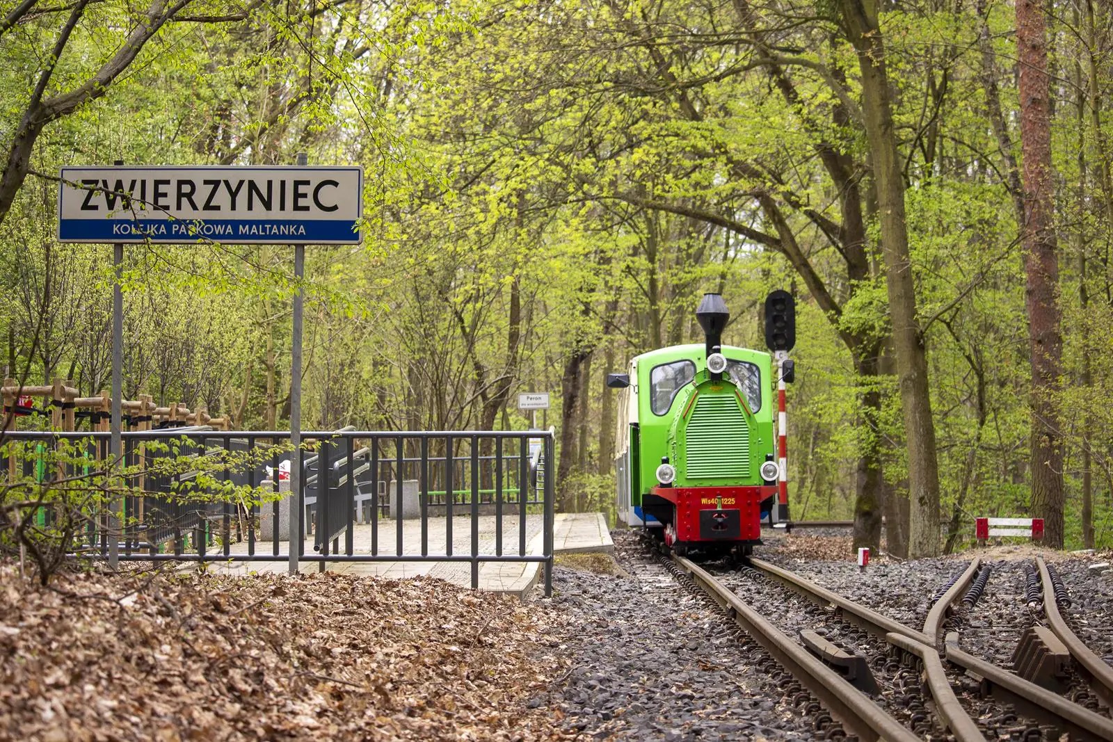 Zielona lokomotywa kolejki wąskotorowej stoi przy stacji. Na stacji stoi biały znak z napisem "Zwierzyniec": W tle zielony las.