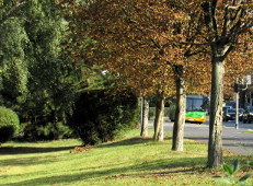 У період День Всіх Cвятих найкраще добиратися до кладовищ громадським транспортом.