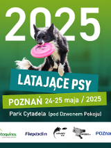 Plakat imprezy Dogfrisbee Latające Psy