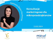 Konsultacje marketingowe dla mikroprzedsiębiorców