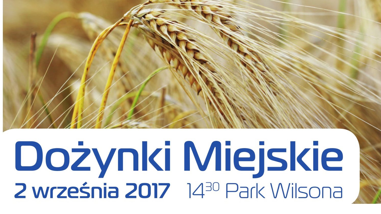 . - grafika artykułu