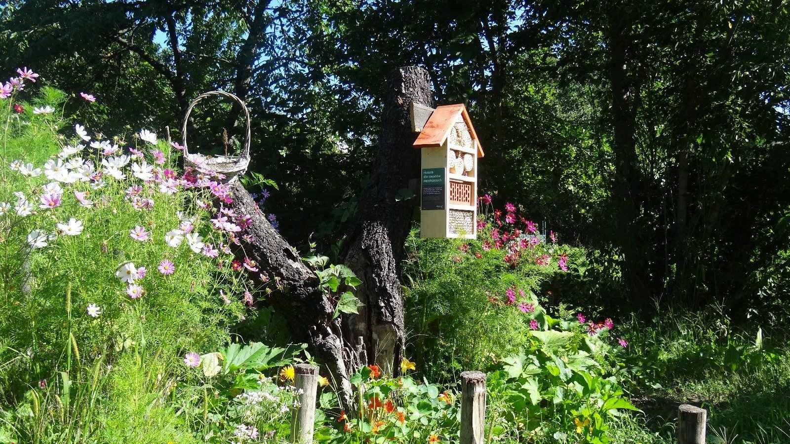 Zdjęcie przedstawia jedną z nagrodzonych realizacji z ubiegłorocznej rzyci konkursu. Na środku widać domek dla pszczół. - grafika artykułu