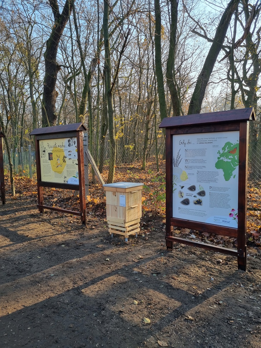Zdjęcie przedstawia ścieżkę edukacyjno-przyrodniczą w Lesie Dębińskim.