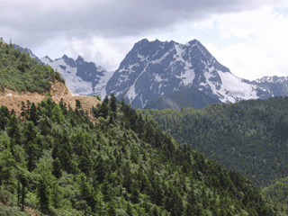 Yunnan, Chiny