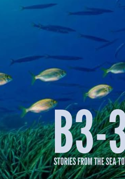 Baner promujący wydarzenie. Nazwa wydarzeania.