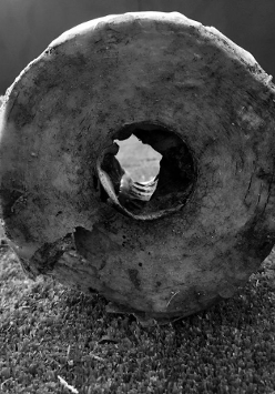 fot. Tour of the Artists' House produce by RESERVE AMES with Erika Ostrander and Christian Tedeschi