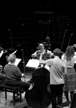 koncert zespołu barokowego