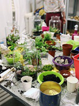 materiały do tworzenia lasu w słoiku