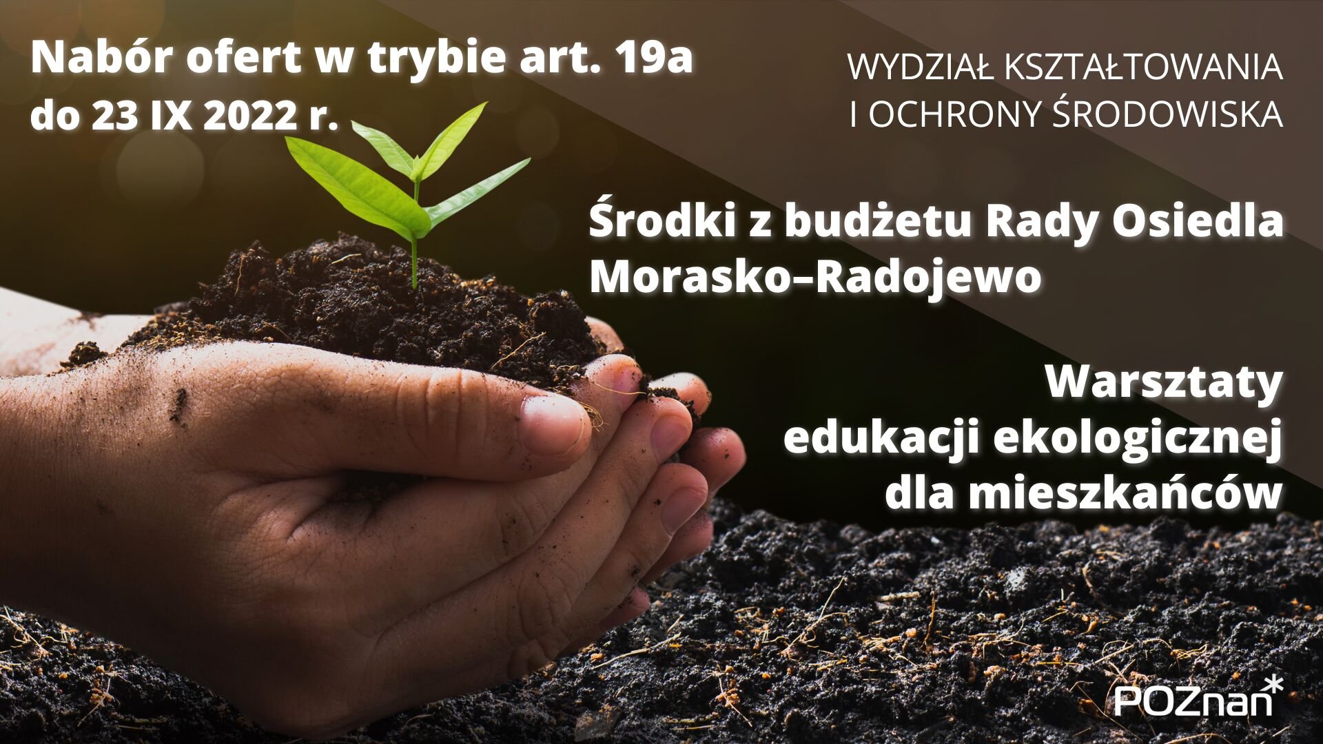 grafika ilustrująca - grafika artykułu