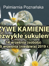 Fragment ekspozycji na zdjęciu. Żółte napisy - data i nazwa wystawy.