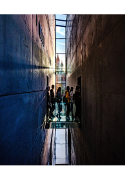 Uczestnicy zwiedzają wystawę