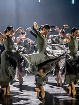 Grupa tancerek baletowych stojących w podobnnej pozie, z podniesionymi rękami. Szare tło, szara podłoga, na scenie nie ma żadnych rekwizytów.