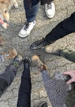 Grupa osób stoi w kręgu na brukowanej nawierzchni, dotykając się czubkami butów. W kadrze widać tylko nogi i obuwie, a z boku pojawiają się dwa psy.