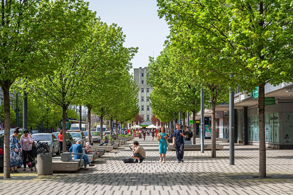 ulica deptak z kostką brukową szpalerem drzew spacerują ludzie przy ulicy wysokie budynki wzdłuż zaparkowane samochody