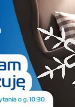 Logo Centrum Innicjatyw Rodzinnych, niebieskie tło, pluszowy miś.