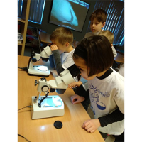 Foto: Dwoje dzieci oglada preparaty przez mikroskopy.