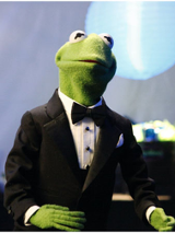 Pacynka żaba w smokingu dyryguje.