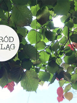 Liscie lipy na gałęziach. Wśród lisci przebija słońce. Po lewej białe koło w srodku czarny napis "Ogród Szeląg".