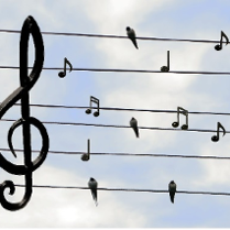 Linie energetyczne jako pięciolinia a na nich ptaki i między nimi nuty.