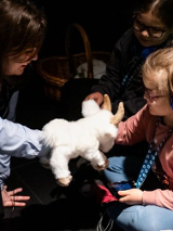 Na grafice plakat wydarzenia.