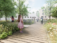 Klimat i edukacja - wokół szkół i przedszkoli przybywa zieleni