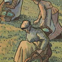 Trzy kobiety pielące trawę. W dłoniach trzymają niewielkie nożyki oraz kosze.