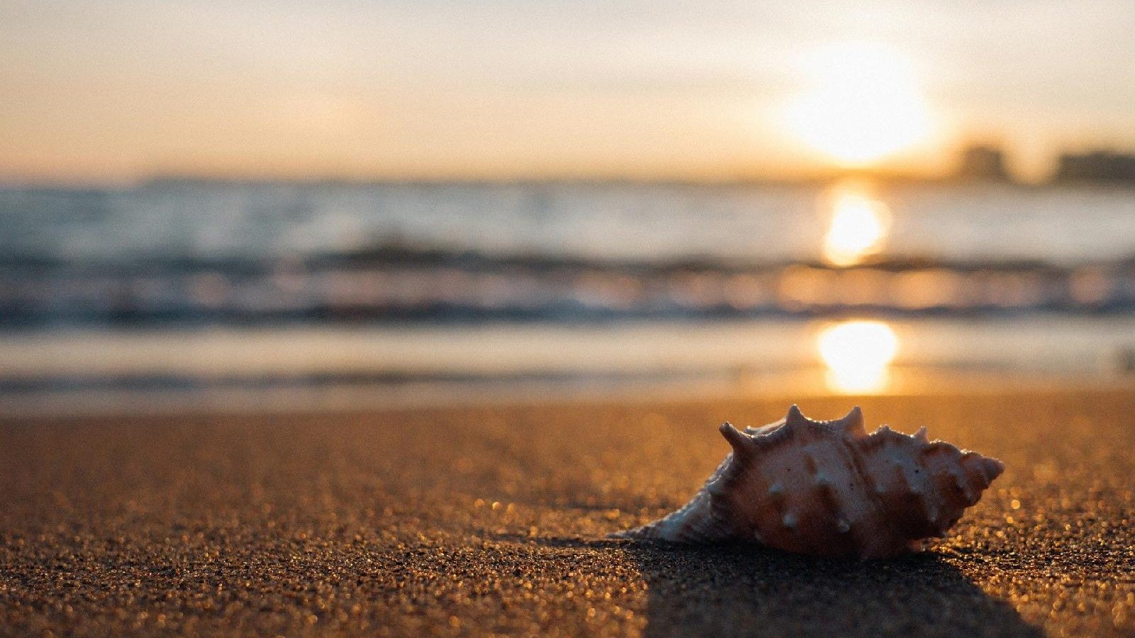 fot. pixabay.com