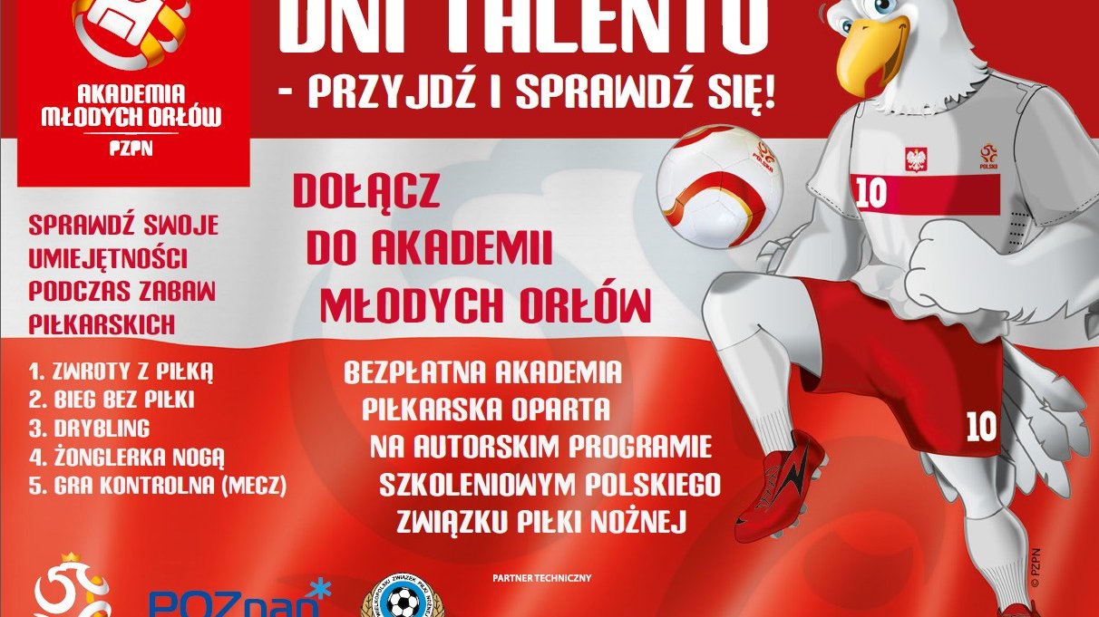 ulotka