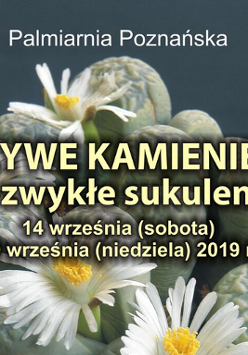 Fragment ekspozycji na zdjęciu. Żółte napisy - data i nazwa wystawy.