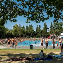 Wypoczynek na pływalni letniej: w basenie, na trawie.