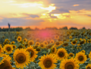 Życzenia z okazji rozpoczęcia roku szkolnego