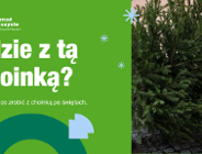 Co zrobić z choinką?