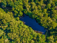 Miasto Poznań dba o mokradła, nie tylko od święta