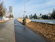 Modernizacja drogi rowerowej